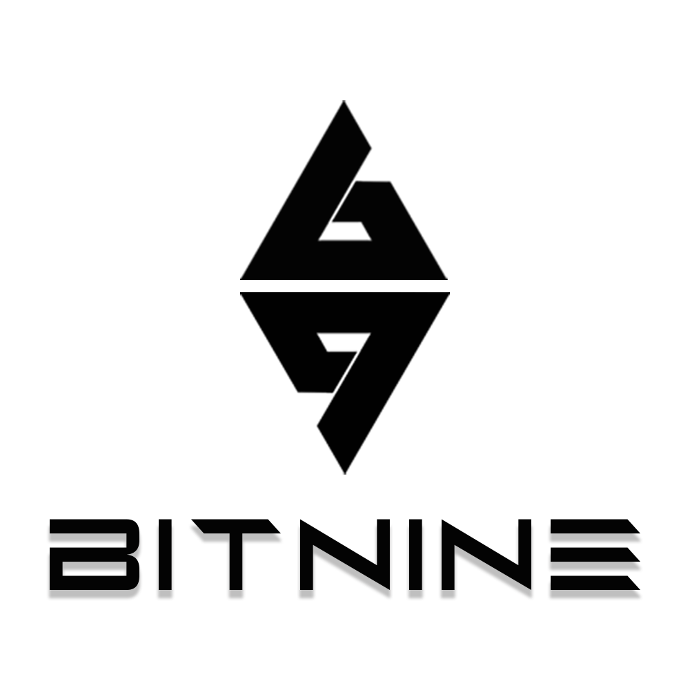 BitNine Advisors Koinly